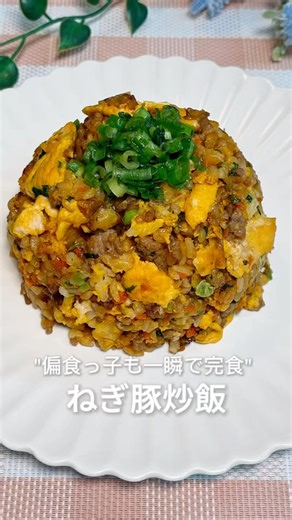 野菜嫌いの子も完食❤️ねぎ豚チャーハン