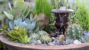 6.4K reactions · 4.2K shares | Check out this succulent/cacti arrangement complete with water feature!! | Garden Answer | Facebook