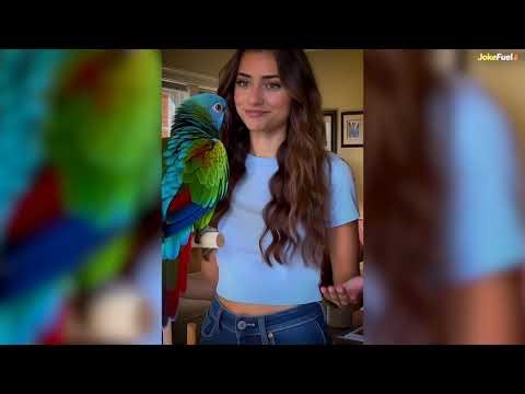 👉 6 FUNNIEST SHORT JOKES 😂 (You WILL Laugh!)