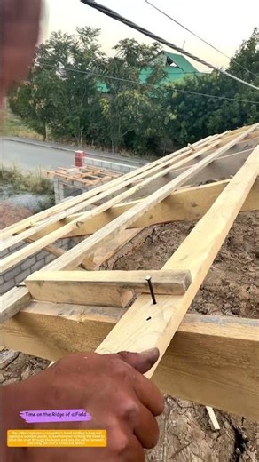 Hammer to Rafter: How Nails Lock a Roof's Wooden Spine into Place