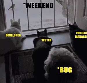 How bug interrupt on weekend :) | I am Programmer,I have no life.