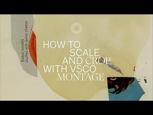 How to Scale and Crop With VSCO Montage