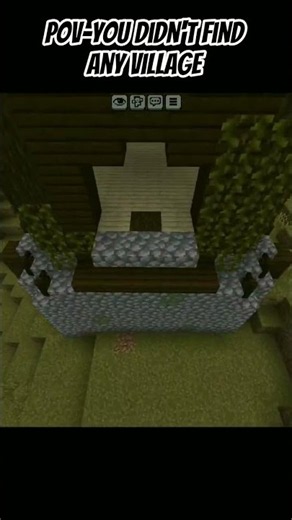 You Didn't Find Any Village 😱 #shorts #minecraft
