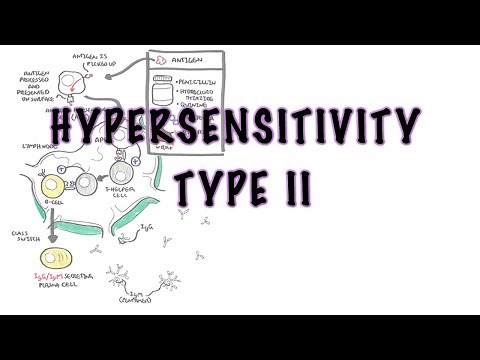 Hypersensitivity Type II (Cytotoxic reaction) - causes, pathophysiology, complement system