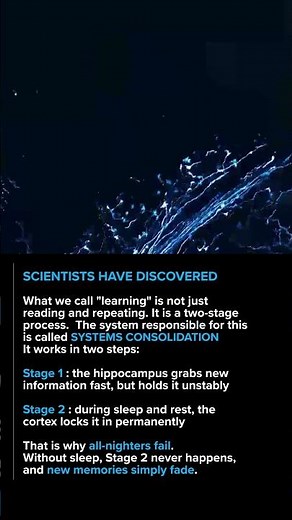 How Your Brain Builds Memory (Sleep = Learning Hack) 🧠💡
