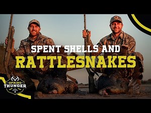 Longbeards wrecked our Decoy!! | Springtime Gobbler Frenzy | Spring Thunder