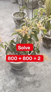 Math Test Solution for | Learn And Solve