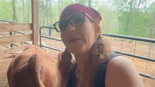 132K views · 1.2K reactions | Update at 8:23am | Snead’s Farmhouse | Facebook