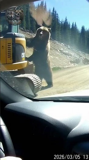 ANGRY BEAR ATTACKS EXCAVATOR! 😱🐻 Construction Site Nightmare
