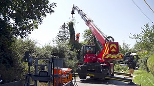 Powerful machine safely handling tall tree removal