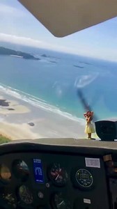 7K views · 69 reactions | Don’t limit yourself. One of the amazing things about our flight academy is our instructors & program is focused on making you the best pilot possible. Where would you fly to? Join us: https://wingsaa.com | Wings Airline Academy | Facebook