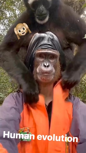 2K views · 25 reactions | Human evolution haha. #reelschallengereelschallenge #followersreelsfypシ゚viralシfypシ゚viralシal #followersreelsfypシ゚viralシfypシ゚viralシalシ #followersシ゚ #fypviralシ #fypシ゚ @highlight | Aidy Yan V Lee | Facebook