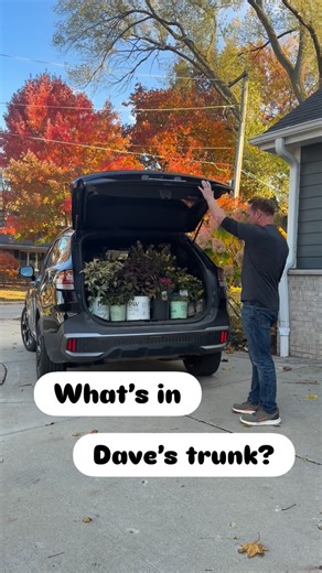 Dave Lendon | Horticulture, Zone 5 Plants on Instagram: "My trunk is always full of something good! Love selling plants for a living. Check these out! @dave_lendon @nurseryspot @bananaridge 🌿 Dianthus Delilah Bicolor Magenta just wont stop blooming. Semi-double fragrant flowers from spring until frost. Loves full sun and is zone 4 hardy. @willowaynurseries 🌿 Weigela Midnight Sun is a spectacle of color with orange, red and purple leaves during spring/summer turning to a deep burgundy in fall. 