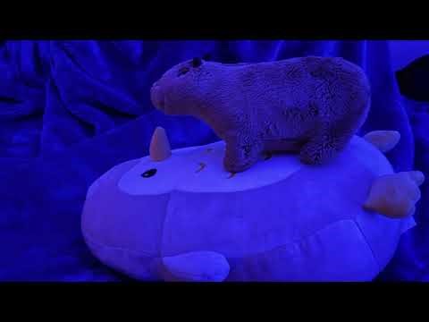 Time and Motion Art Project