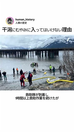 干潟にむやみに入ってはいけない理由
