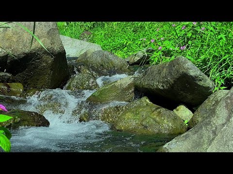 Relaxing River Sounds for Deep Relaxation, Stress Relief & Calm Mind (No Music)