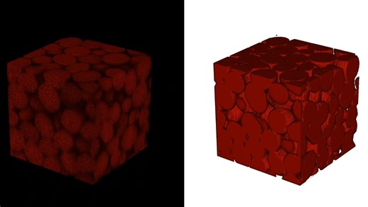 最柔软的颗粒状海藻酸盐基质的3D结构