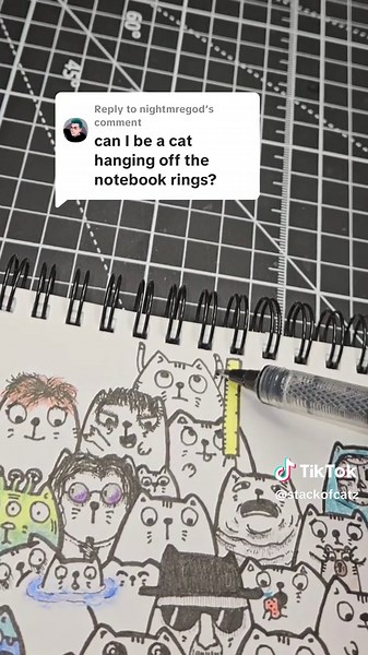 Understanding Cat Behaviors and Care Tips