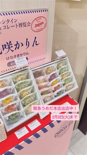 花咲かりん本店 on Instagram: "\ #阪急うめだ本店 出店中🍫 / 期間：2月3日(火)まで 場所：阪急うめだ本店 地下 1 階和菓子売場「日本の銘菓催」 定番商品から冬季限定「チョコかりん」まで 大切な方へのプレゼントにいかがでしょうか？ お近くへお越しの際はぜひお立ち寄りくださいませ🌸 #花咲かりん #チョコかりん #阪急百貨店 #デパ地下 #阪急バレンタインチョコレート博覧会 #バレンタイン #バレンタインチョコ #お花のお菓子 #贈り物 #hanasakikarin #flower #chocolate #sweet #japan #umeda #hankyu #hankyuumeda #hankyudepartmentstore #hankyusweets #hankyuchoco #valentine #instagood #instafood #instasweet #🍫"