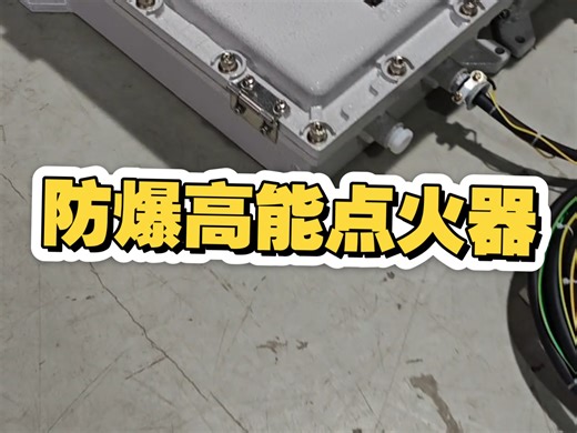 XBD-20B防爆高能点火器，防爆等级Exd IIB T6，点火能量20J，适配燃气、燃油燃烧器与放空火炬。采用半导体沿面放电，点火稳定、耐高温抗结焦
