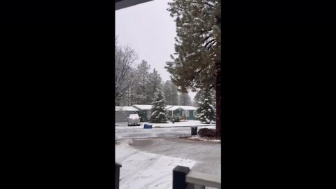 Snow-Dusted Night in Flagstaff: Trailers and Pines Fall Silent in First Big Storm