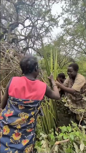 "Incredible Tribal Women Building Homes With Bare Hands"#africa #villagelife #tribalwoman #shorts