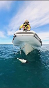 2.7K views · 23 reactions | The cutest dolphins are in Patagonia  Location: Puerto de Rawson - Patagonia, Argentina. Vídeo by @luis_burgueno_ph #southamerica #argentina #patagonia #dolphins #love | South America | Facebook