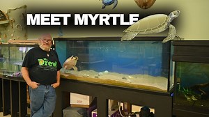 12K views · 394 reactions |  Say hello to Myrtle! Our newest video...