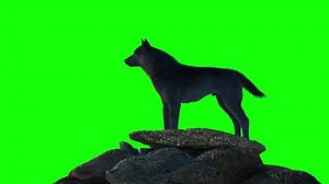 clip-1099973575-silhouette-wolf-howling-full-moon-3d-render