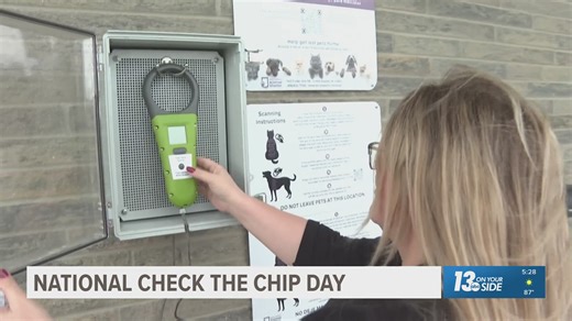 Pet owners urged to update microchip info on National Check the Chip Day