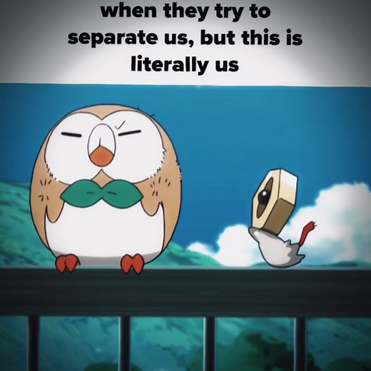 Rowlet Solo Performance in Pokémon Universe