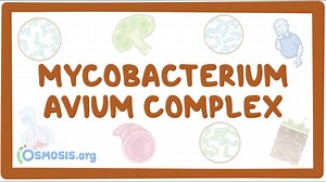 Mycobacterium avium complex (NORD): Video, Causes, & Meaning | Osmosis
