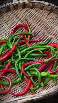 Embrace Nature's Bounty: Catching Fish And Shrimp Is Pure Bliss!