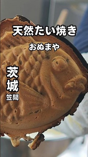 ​【笠間グルメ】茨城・笠間で出会った究極の「一丁焼き」天然たい焼き🐟​
