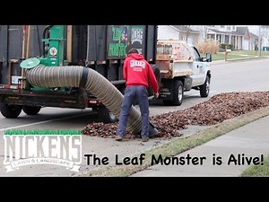 Billy Goat DL3701VE Debris Loader Making Quick Work of Fall Clean Ups