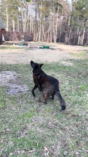 Strider speed runner #fypage