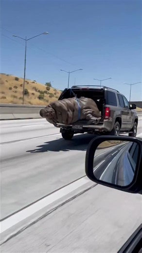 Oversize load | AI Is Cursed