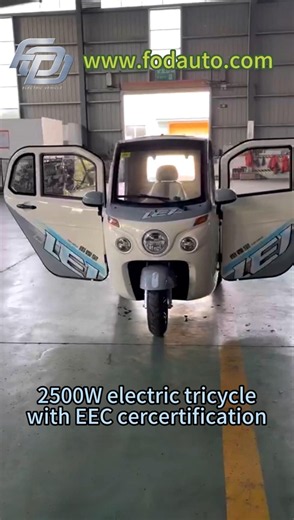 2500W Motor Electric Tricycle with EEC