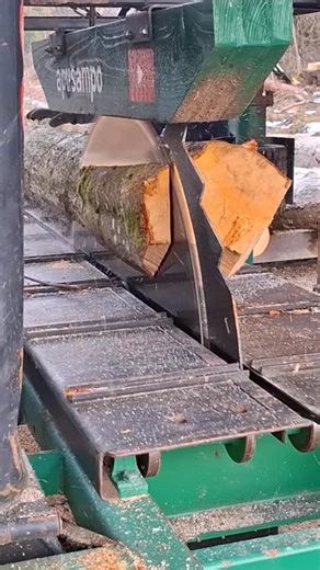 First Sawing! Fresh Alder Log. #apusampo #woodworking #wood