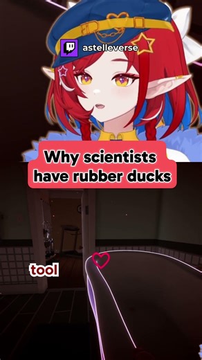 Why Scientists Have Rubber Ducks?