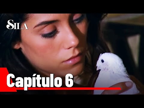 Sila Capítulo 6 | En Camas Diferentes