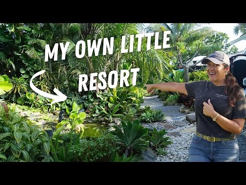 Backyard Tour of a Florida Landscape Designer | Plants That Last!