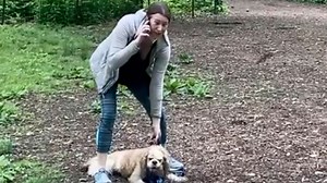 Why was Amy Cooper fired from Franklin Templeton?