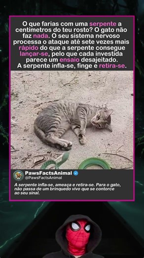 Reflexos de aço contra uma corda nervosa