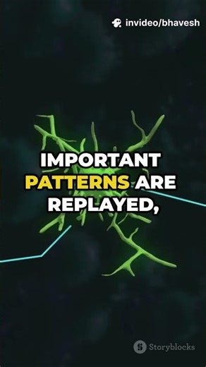 The Terrifying Reason Your Brain Keeps Painful Memories....