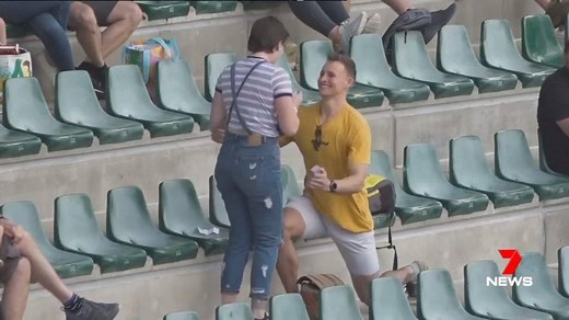 964K views · 1.6K reactions | A groom-to-be has taken his marriage proposal to new heights, enlisting the help of Australia Zoo. Black cockatoo Euli delivered Erin a special note, during a bird show at the Crocoseum, and as she turned around - Jesse was on one knee. Where's the wackiest place you've seen a proposal? Credit: Australia Zoo. www.7NEWS.com.au #7NEWS | 7NEWS Sunshine Coast | Facebook