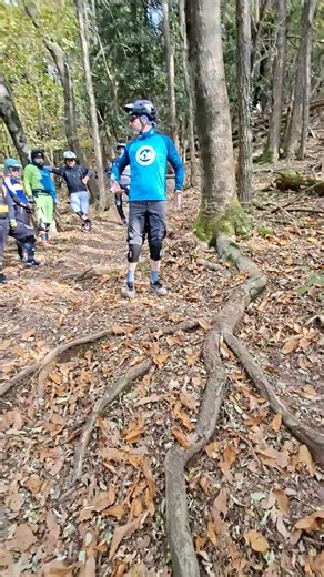 Flowlab Curve Course