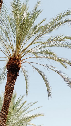 Spend the day with us soaking up the sun at Marriott’s Shadow Ridge! 🌵#BeInspired Is Marriott’s Shadow Ridge on your #MVCWishlist? | Marriott Vacation Club