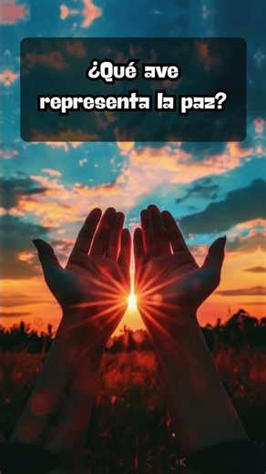 "¿Puedes responder estas 3 preguntas de cultura general? 🤯🧠"