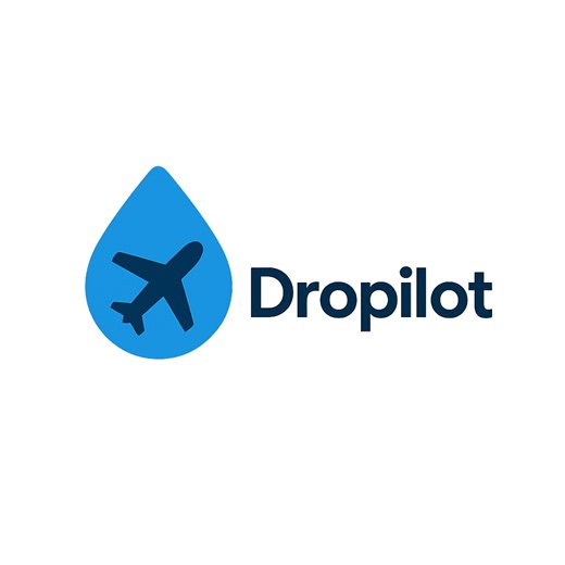 Dropilot ‑ Bulk Import AI - Bulk import trending dropshipping products in one click by AI | Shopify App Store